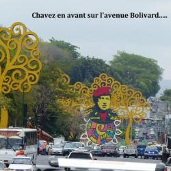 Vaste  avenue Bolivar , bordée d'arbres stylisés jaunes.